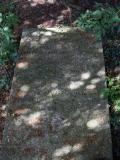 image of grave number 687428